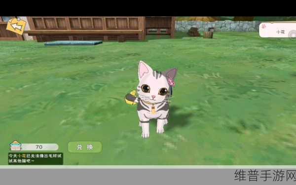 小森生活猫咪领养全攻略，从一只到多只的幸福陪伴