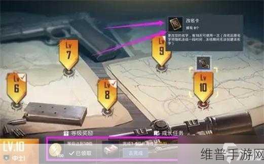 和平精英改名秘籍,多种方法全解析