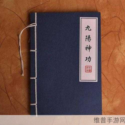 逍遥九重天宗派修炼秘籍大公开