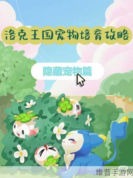 洛克王国伪装捉迷藏活动宠物位置全揭秘