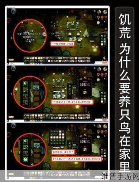 性饥荒心理挑战，手游中的心灵绿洲与情感慰藉探索