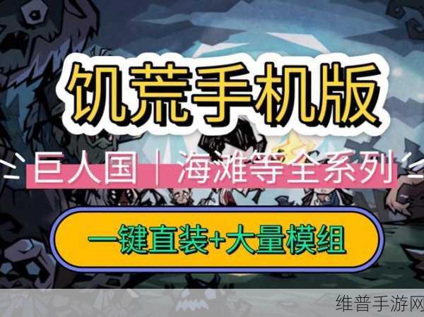 性饥荒心理挑战，手游中的心灵绿洲与情感慰藉探索