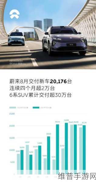 蔚来小鹏命运十字路口，新能源下半场手游攻略前瞻，谁将领跑？