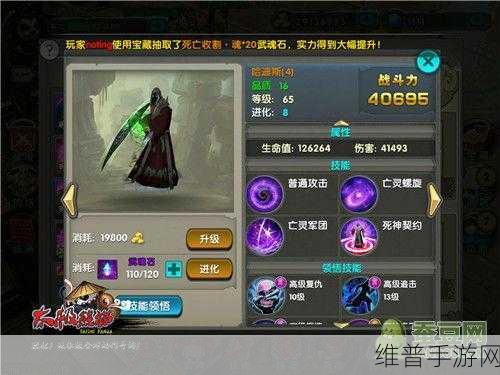 太极熊猫实用武神全攻略深度解析