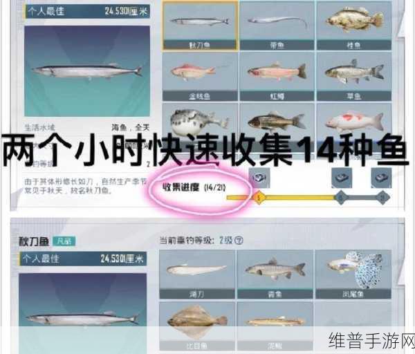 和平精英绿洲世界钓鱼地点全攻略