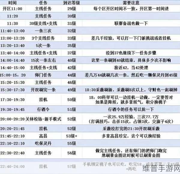 倩女幽魂手游新手攻略，全面掌握等级快速提升的高效秘籍