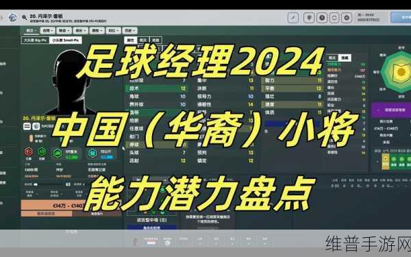 足球经理 2024 保存失败的全方位解决秘籍
