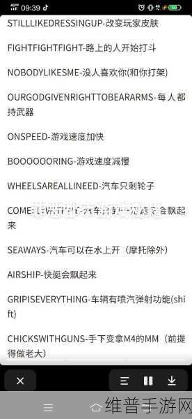 梦想猎人竞技场称霸秘籍