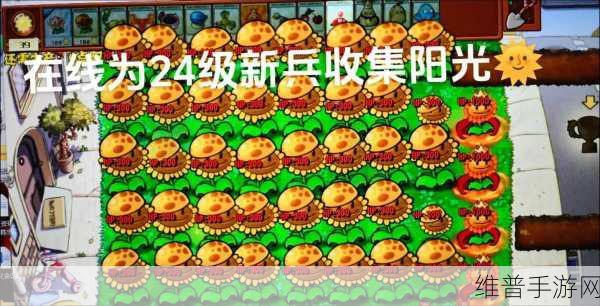 不思议迷宫能量恢复者——太阳花史莱姆全面获得攻略