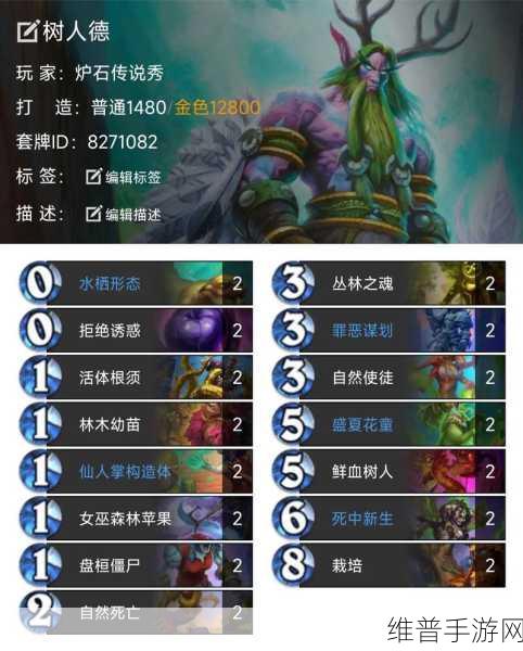 炉石传说2024标准模式乌龟德卡组深度解析与推荐