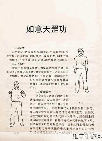 神雕侠侣 OL 轻功秘籍，轻松掌握翱翔之术