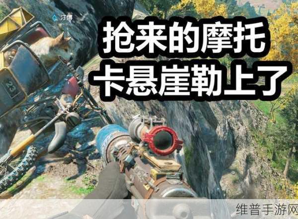 孤岛惊魂3深度攻略，生死抉择——救友还是投斯特拉？