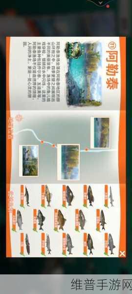 钓鱼大师 3 高阶渔场饵料调配秘籍