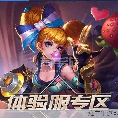手游安全攻略，如何通过客户认证1提升游戏体验