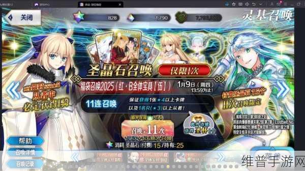 FGO新年狂欢盛大开启,国服春节活动全攻略,助你畅享游戏盛宴