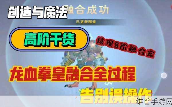 创造与魔法，龙血拳皇融合全解析