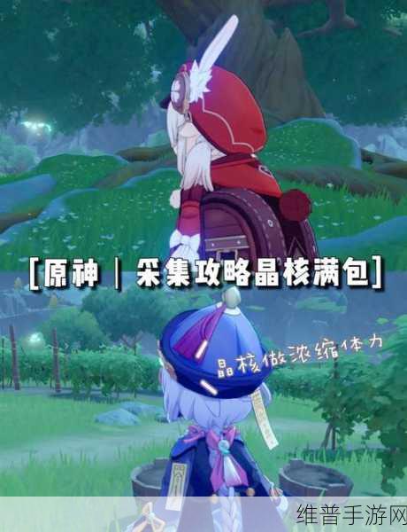 原神晶核怎么快速获得？原神晶核快速获得方法全面解析