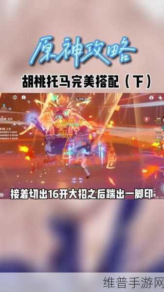原神雾海悬谜境羽毛使用全攻略