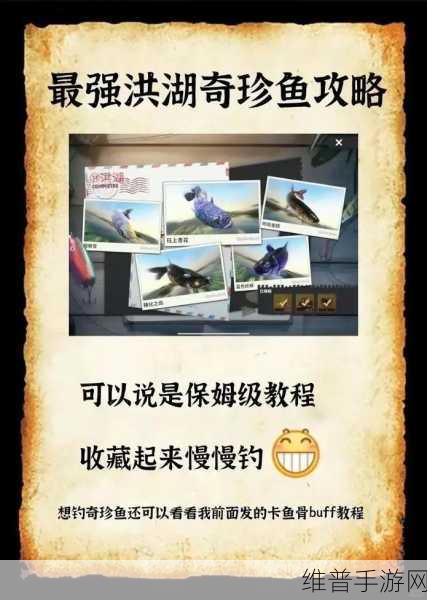欢乐钓鱼大师，洪湖末鱼难上钩，破解之道在此