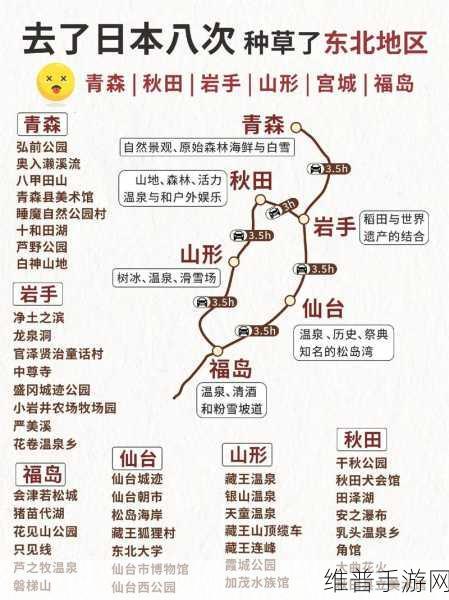 边境之旅松果寻觅指南，揭秘松果最多的神秘地点