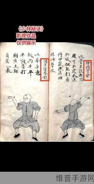 天下霸图1秘籍与武功练习条件全解析