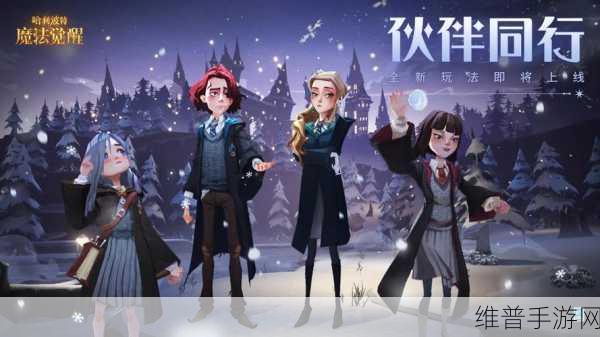 揭秘有杀气童话,深入探索伙伴抽奖系统的神秘奇幻之旅