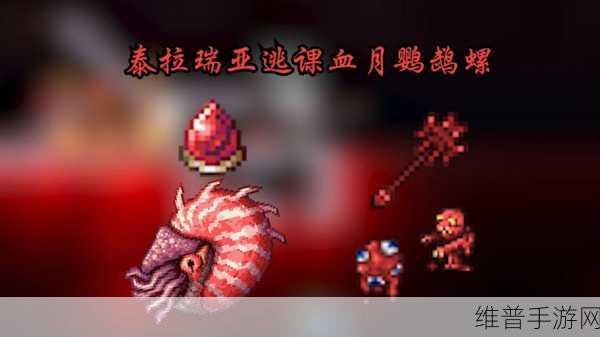 泰拉瑞亚手游，血月鹦鹉螺召唤秘籍大公开