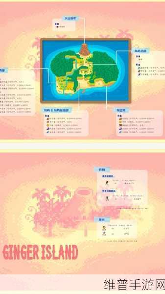 星露谷物语，全面攻略之好感度提升秘籍