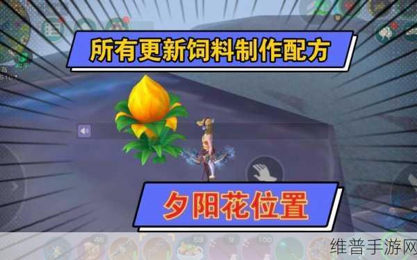 创造与魔法，夕阳花刷新时间全解析