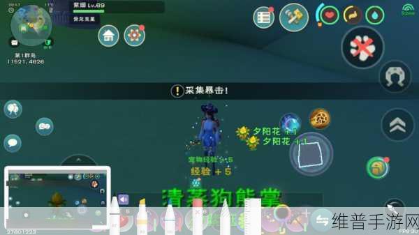 创造与魔法，夕阳花刷新时间全解析