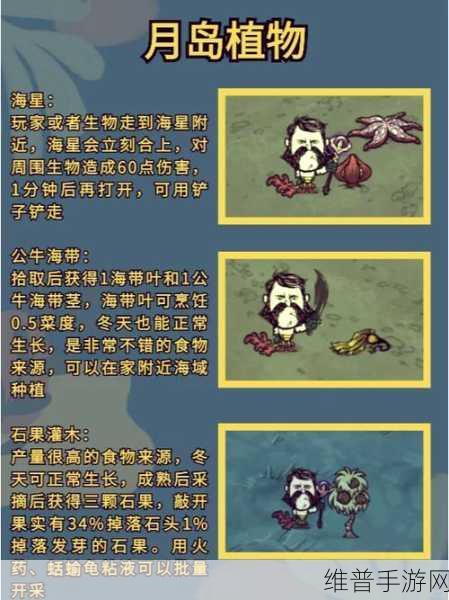 饥荒手游攻略,探索最佳扎营地点