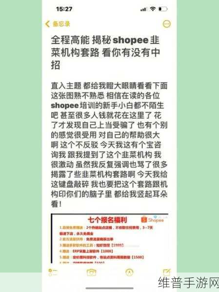 太极熊猫2巅峰对决上分攻略，全面解析上分手册技巧
