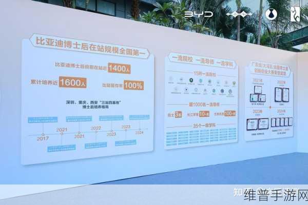 2024新能源销量手游攻略大比拼，比亚迪领跑赛道，谁是黑马谁黯然离场？
