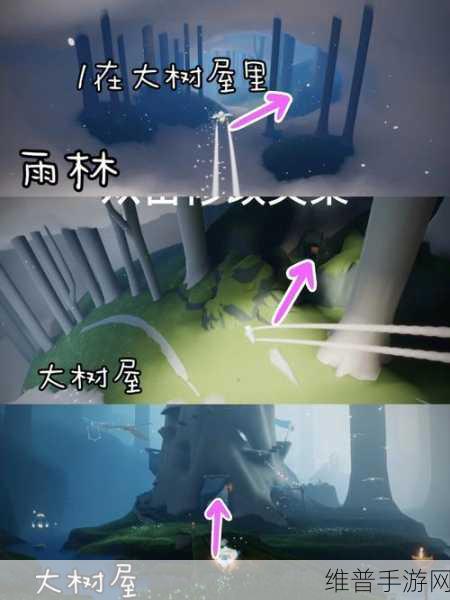 光遇手游攻略,全面解析雨林小金人21个具体位置