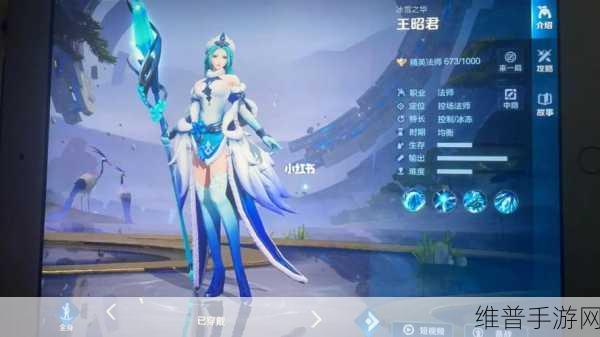 王者荣耀法师新霸主，揭秘最新的法师一哥