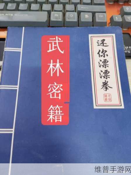 武林秘籍豪侠结交秘籍大公开