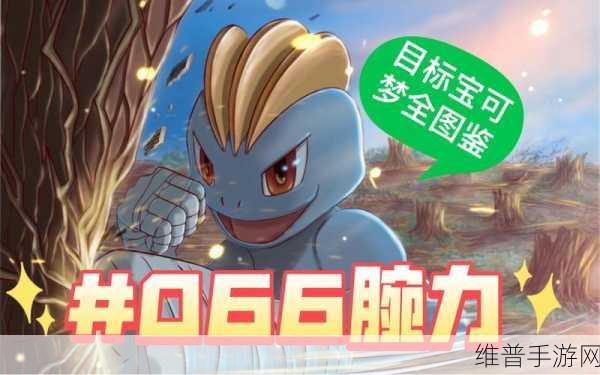 宝可梦大探险腕力进化攻略,几级进化与进化必要性详解
