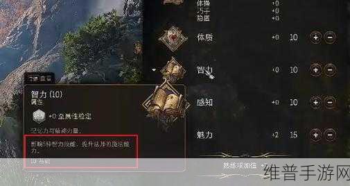 博德之门3，全面解析鬼婆地下室门开启策略