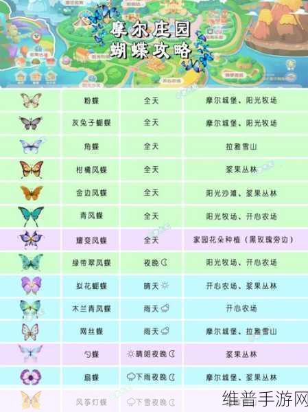 摩尔庄园手游小镇响应攻略全面分享