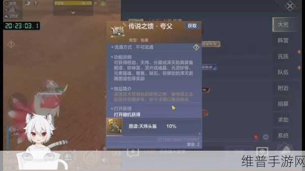 妄想山海手游攻略，全面解析凤鸣装备获取之道