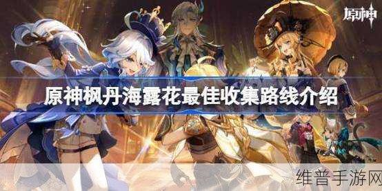 原神海露花采集全攻略,解锁枫丹之美