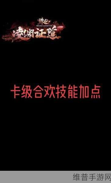梦幻新诛仙深度攻略，合欢技能加点全解析