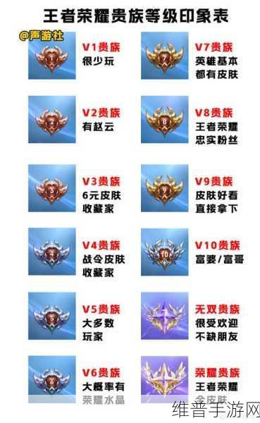王者荣耀会员等级详解，如何查看与提升你的贵族身份