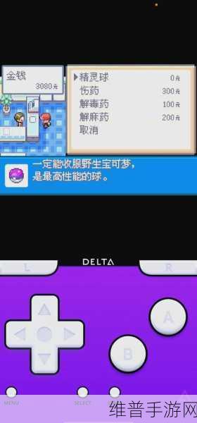 口袋妖怪燃之智，全面解析金手指大全与攻略秘籍