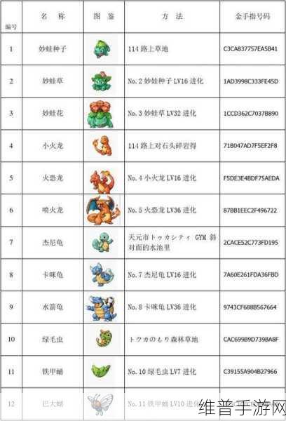 口袋妖怪燃之智,全面解析金手指大全与攻略秘籍