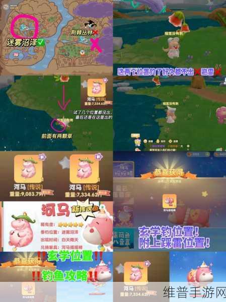 摩尔庄园迷雾沼泽交互全攻略，解锁神秘沼泽的奥秘