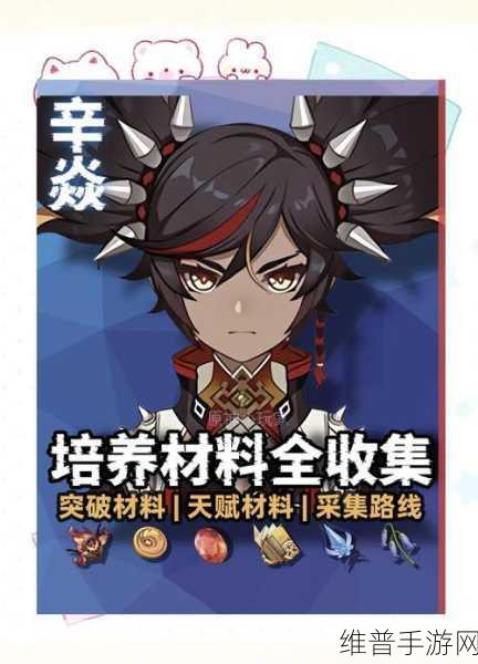 原神角色深度解析，辛焱的定位与实战攻略