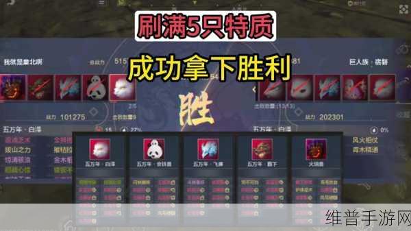 妄想山海深度攻略,御剑技能搭配全解析