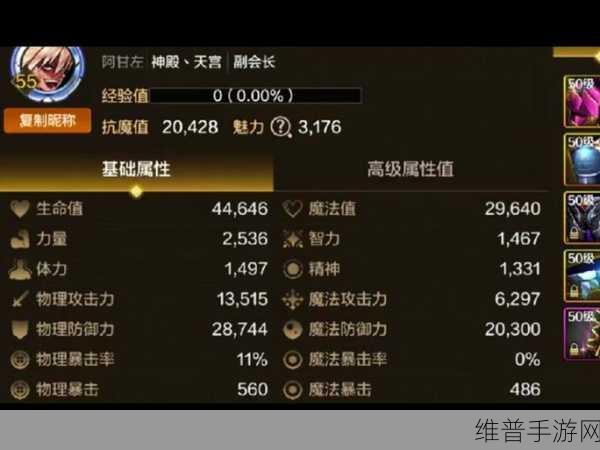 DNF手游黑色大地挑战攻略，碾压级装备资源管理高效利用价值最大化