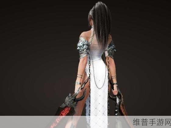 黑色沙漠手游女武神与狂战士,升级与PK的终极对决